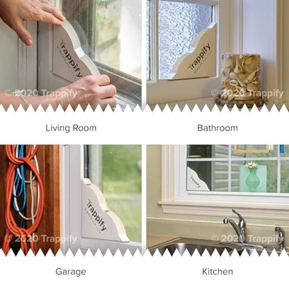 Trappify Window Corner Fly Trap | Fruit Fly Traps for Indoors | 12 Pack