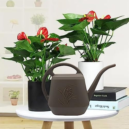 Watering Can - with Long Spout - 1 Gallon - Coffee Color - color: Coffee Color