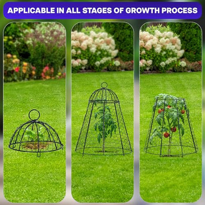Life Finds Chicken Wire Garden Cloche Set, 6 Pack, LF-GC6P