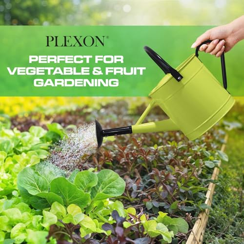 Plexon Metal Watering Can Outdoor 1 Gallon, Flower Plant Gardening Garden Large Green Watering Can Pot, Galvanized Steel Handles - Removable Spray Spout, Green - color: Green