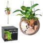 SCANDINORDICA Disco Ball Planter, Value Package, 8-inch Rose Gold - size: 8" Rose Gold