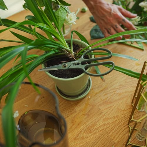 Fiskars 6" Plant Shaping Shears & Holder, Precision Indoor Gardening Snips - size: Shaper Plant Shears
