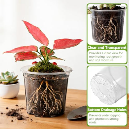 36 Pack 6/8/10 Inch Clear Nursery Pots with Drainage Holes - size: 6/8/10in(36pack,clear)