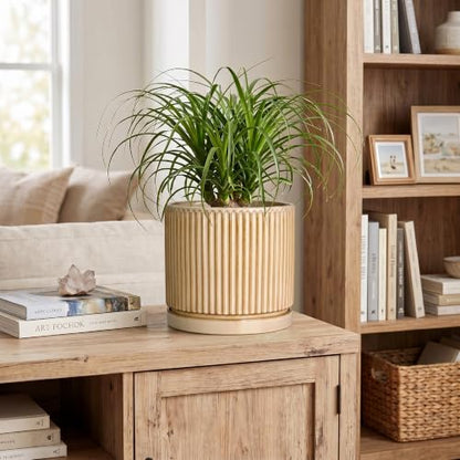 8 Inch Flower Pot, Ceramic Planters, Round Plant Pot, Beige - color: Beige, size: 8 Inch