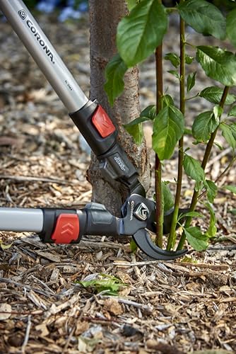 Corona SL 3364 ComfortGEL Extendable Bypass Lopper, 1-1/2 Inch Cut - style: Extendable Handle