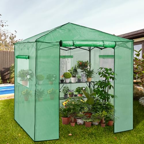 EAGLE PEAK 7x7 Easy Setup Pop Up Greenhouse, 2 Folding Shelves, Clear/Green - color: Clear/Green, size: 7x7
