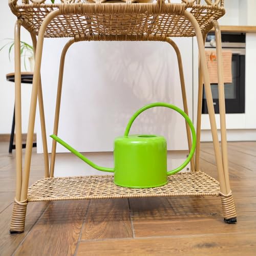 Plexon Long Spout Watering Can Indoor Plants, 40 oz Small Watering Can Pot Metal for Garden Flowers House Plants Mini, Powder Coated,Gift for Mom Girlfriend Daughter, Green - color: Green, 40 Oz