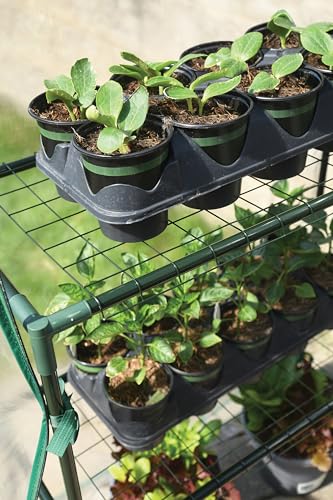 Miracle-Gro Walk-in Greenhouse, Removable Shelves, Transparent, 4'8"x29" - size: 4'8" x 29" x 6'5" - Translucent