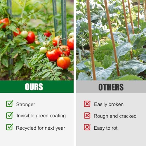 25 Pack 55 Inch Tall Plant Stakes for Tomatoes & Climbing Plants - size: 55 Inches
