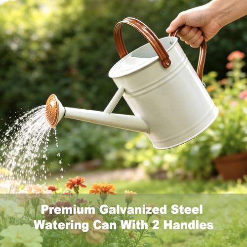 1 Gallon Watering Can for Outdoor&Indoor Plants，White - color: White