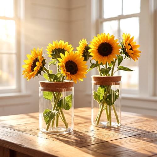 6Pcs 3 Size Glass Plant Propagation Stations, Desktop Flower Vases