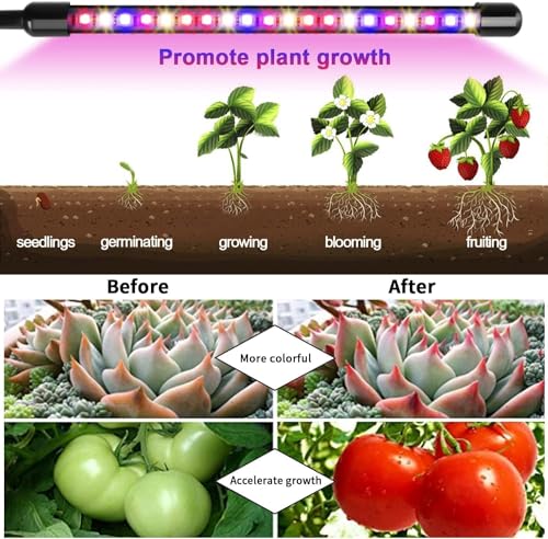 Garpsen Grow Lights for Indoor Plants, Full Spectrum with Clip, 4 Head - size: (1 Pack)4 Arms