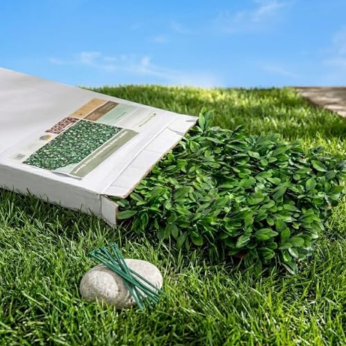 NatraHedge 20''X50'' Artificial Privacy Grass Wall Decor, Laurel Leaf - color: Laurel Leaf
