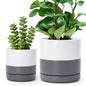 D'vine Dev 2-Pack Ceramic Pots with Saucers, White/Grey, 4/6 in, 94-G-S-6 - color: White/Speckled Grey, size: Small
