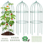 SUNYRISY 3 Pack Metal Plant Support Cage for Tomato Peony Cucumber - size: 31.5 x 15.7 in