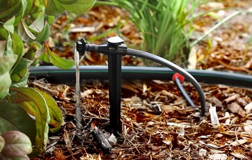 Rain Bird SW20/10PS Drip Emitter, 1/4", 10-Pack - size: 10-Pack, style: 2 GPH