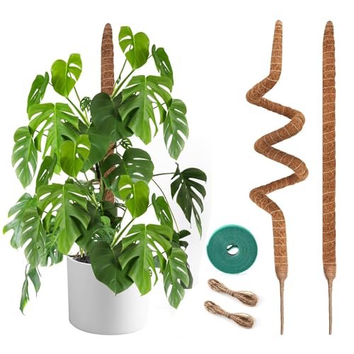 2 Pack Moss Pole 48 Inch Monstera Plant Sticks Support Tall Long Stakes - color: 48inch (2Pack)