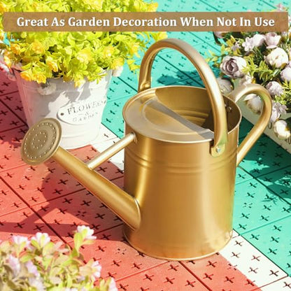 Gold Watering Can for Outdoor&Indoor Plants，1 Gallon - color: Gold