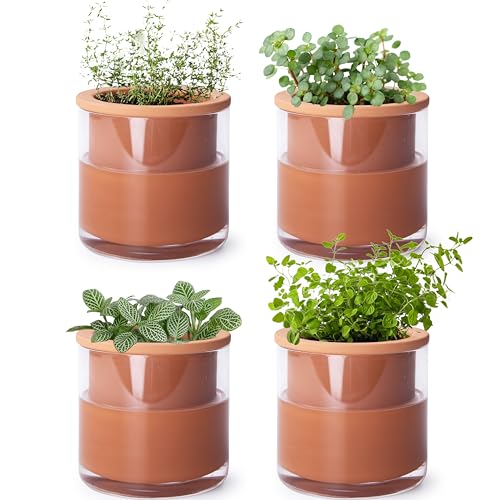 Phoenix Vine 4 Inch Self Watering Plants Pot, Design Terracotta Pot for Plants, Indoor Cylinder Terra Cotta Planter with Glass Vase, Set of 4, 51-A-E-4 - color: Terracotta, size: 4" (4 Pack)