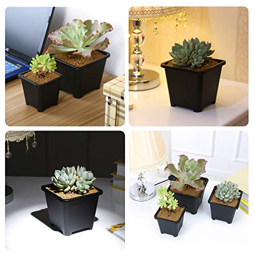 Square Nursery Pots 100 Pack 2.7 Inch Plastic Plant Pot with Drainage Holes Sturdy & Reusable Starter Container for Seedlings, Succulents & Garden Plants, Black