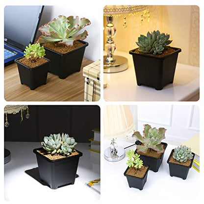 Square Nursery Pots 100 Pack 2.7 Inch Plastic Plant Pot with Drainage Holes Sturdy & Reusable Starter Container for Seedlings, Succulents & Garden Plants, Black
