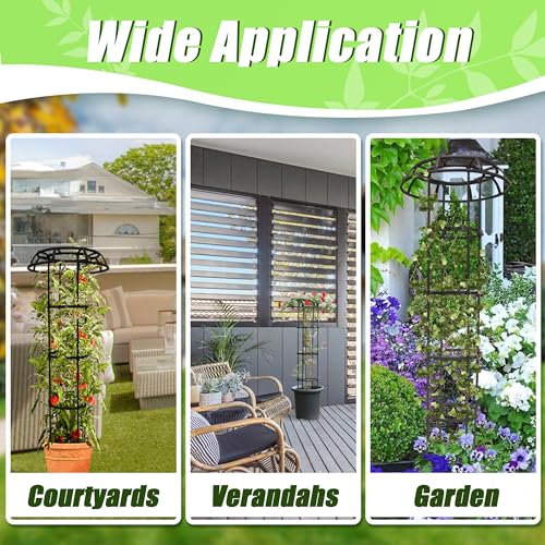 Quibbay 41.3 Inch Mushroom Top Garden Trellis for Climbing Plants,2 Pack - style: 3 Floors-10*41IN