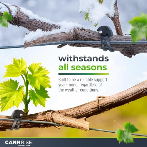 Anchor Bands for Trellising – 155-Pack 14 cm/5.5 in Rubber Vine Ties, UV-Protected Bands: Grapevines, Trees & Climbing Plants – Tool-Free Loop-and-Anchor Design for Install, Weatherproof - size: 155 pack / 5.5"