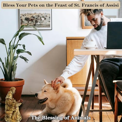 St. Francis of Assisi Garden Statue with Bird Feeder, Garden Decor