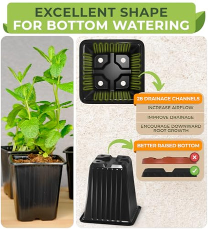 CARPATHEN Nursery Pots for Plants with Drainage Holes, 3.5 inch, 60 Pack