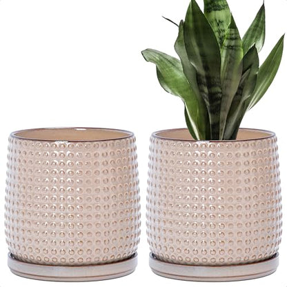 D'vine Dev 2-Pack Beaded Ceramic Pots, 6 in, Light Brown, 27-E-X-4 - color: Light Brown