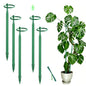 5Pcs Telescoping Plant Stakes 12.5-48.4IN Adjustable Monstera Plant Support - size: 5PCS