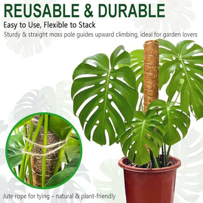 Soupiar 2 Pack 22 Inch Stackable Moss Pole - Thick & Sturdy Natural Coir Totem Plant Support & Garden Stakes for Monstera & Pothos, Indoor Climbing Vining Houseplants, 38" H Max - color: 2 × 22 Inch