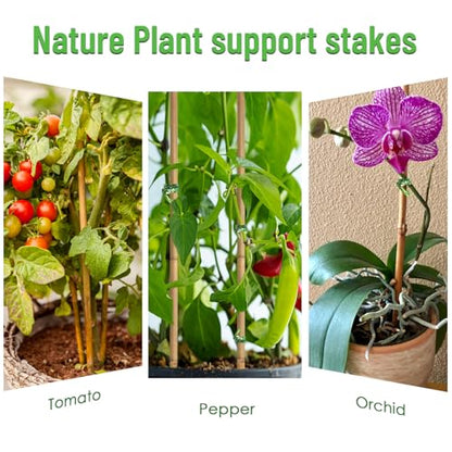 Plant Stakes 35Pcs 18 Inch,POLIUMB Premium Natural Bamboo Garden Stakes - size: 18Inches