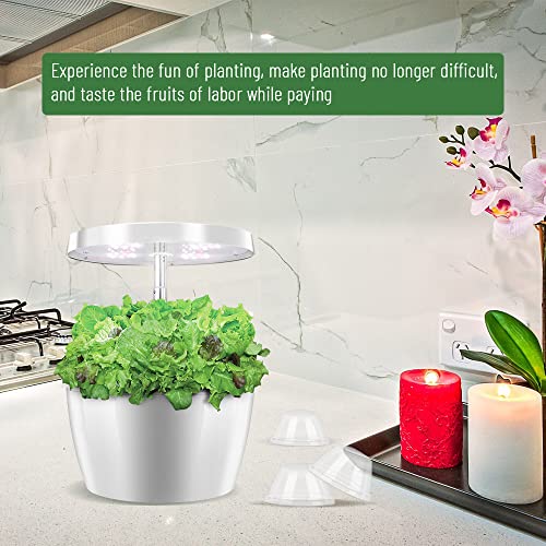 50 Pack Clear Humidity Grow Domes for Plants, 1.57in Inner Diameter