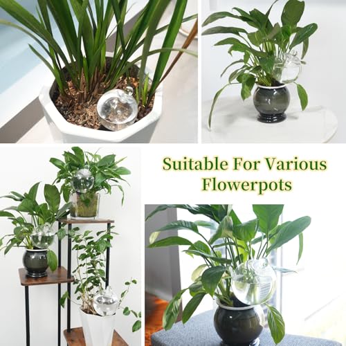 4pcs Plant Self Watering Globes with Covers, Plastic Water Bulbs Top Fill, Plant Watering Devices System Slow Release Terracotta, Water Spikes Stakes for Indoor (4) - size: 4pack