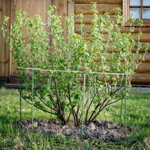 36 Inch Fiberglass Eco Friendly Garden Stakes 3ft 15 Pack - Durable, Lightweight, Tomato, Tree, Strawberry, Plant, Support Fencing Stakes with Patterned Surface, 5/16" Diameter