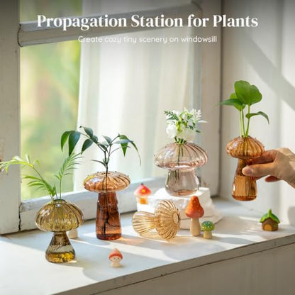 Glasseam Mushroom Plant Propagation Station, Small Glass Propagation Vases - color: Amber, size: 5