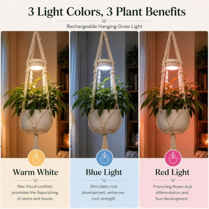 Rechargeable Hanging Plant Grow Lights for Indoor with Timer, Wireless Battery Powered Full Spectrum Growing Light with Macrame Plant Hanger, Wall/Ceiling Mounted Planta Luz for Home Decor（2 Pack）
