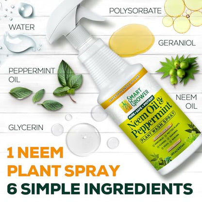 Neem Oil Spray for Plants with Peppermint Oil. Indoor & Outdoor Plant Use - size: 16 Fl Oz