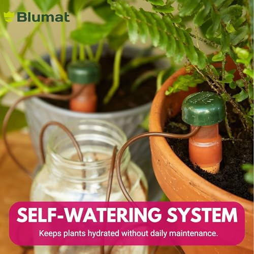 Blumat Classic XL Self-Water Stakes for Indoor Plants - 2 Pack - for Indoor - size: 2 Pack