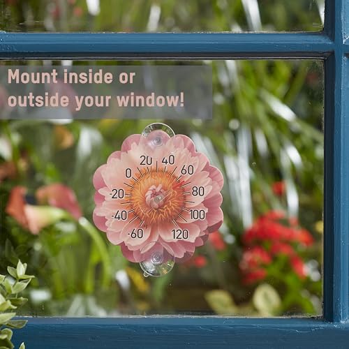 Taylor Silicone Suction Cup Thermometer - Sunflower Design - color: Pink