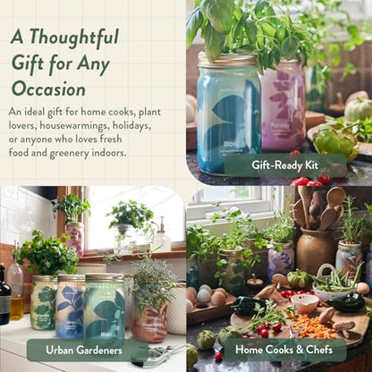Modern Sprout Mason Garden Jar - Self-Watering Hydroponics Kit - Cilantro - color: Cilantro, size: Garden Jars