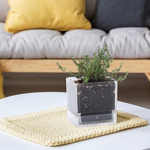 D'vine Dev Acrylic Herb Planter Pot, 4 in, Clear, 76-Y-D-1 - color: Clear, size: 4 Inch x 4.5 Inch