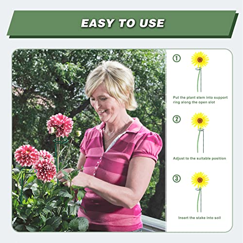 20 Pack 36 Inch Plant Support Stakes for Outdoor Plants and Indoor Flowers - size: 36 Inch