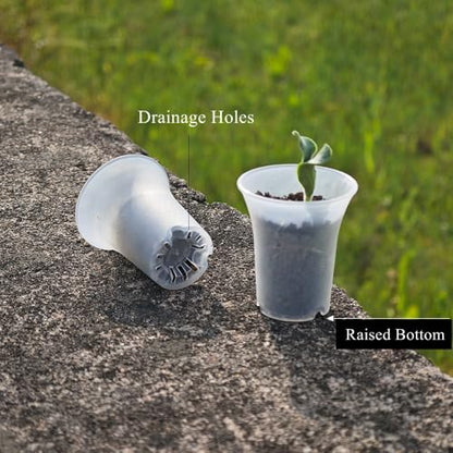 300 Pack 1.80 Inch Tiny Clear Plastic Nursery and Seedling Pot, Mini Transplant Seed Starter Planter with Drain Hole for Germination, Herb, Succulent