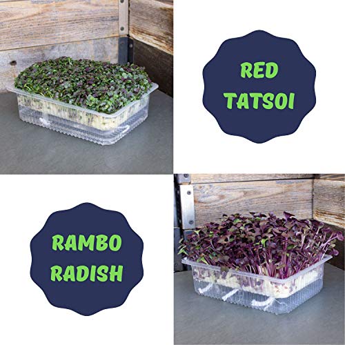 Mountain Valley Seed Co Self-Watering Indoor Microgreen Kit Soil Hydroponic - size: Combo