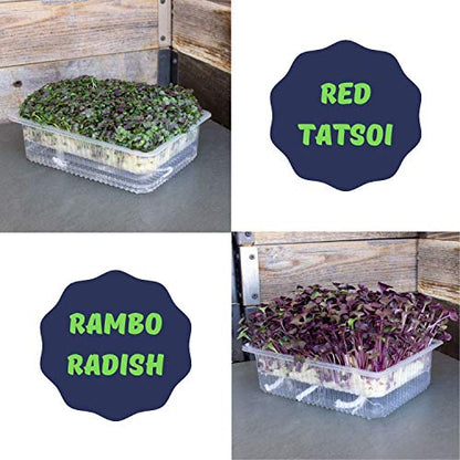 Mountain Valley Seed Co Self-Watering Indoor Microgreen Kit Soil Hydroponic - size: Combo