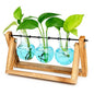 XXXFLOWER Plant Terrarium Kit with Wooden Stand 3 Gradient Blue Bulb Vases - color: Blue