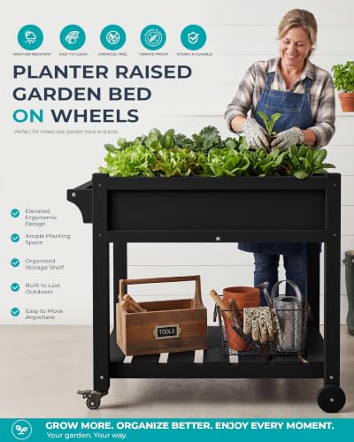 SERWALL Raised Garden Bed on Wheels with Storage Shelf Set of 2,Black - color: Black, size: 2 Pack