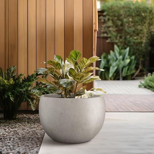 Kante Accent Round Bowl Weathered Concrete Planter 14.8" Dia, Outdoor - color: Weathered Concrete, size: 15.7" d